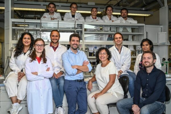 Dai gusci di scarto dei crostacei un esempio di economia circolare