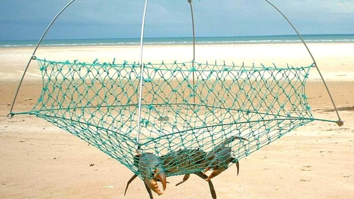 Crostacei: un esempio di trapppola a vaso con un lato aperto adatto per la cattura del granchio blu