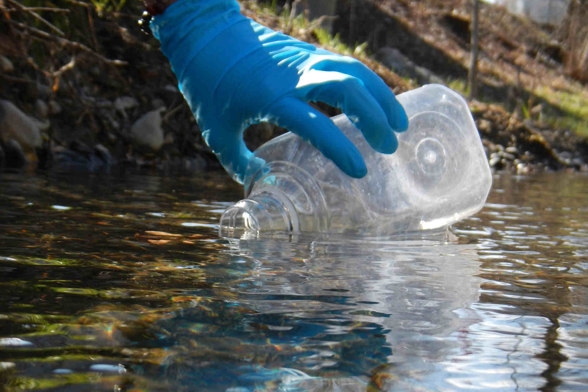 DNA: studiare la biodiversità con i campioni genetici ambientali