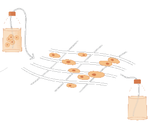 Carne coltivata: cellule staminali, acqua e sostanze nutritive come vitamine e aminoacidi danno corpo alla carne coltivata in un fermentatore (Illustrazione: The Good Food Institute Europe)