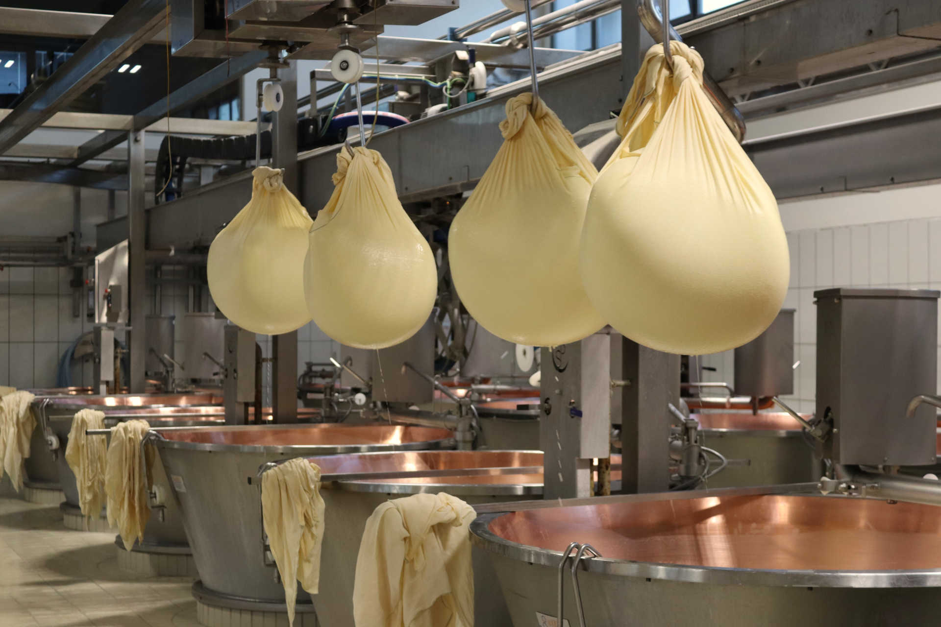 La nuova generazione di produttori Grana Padano