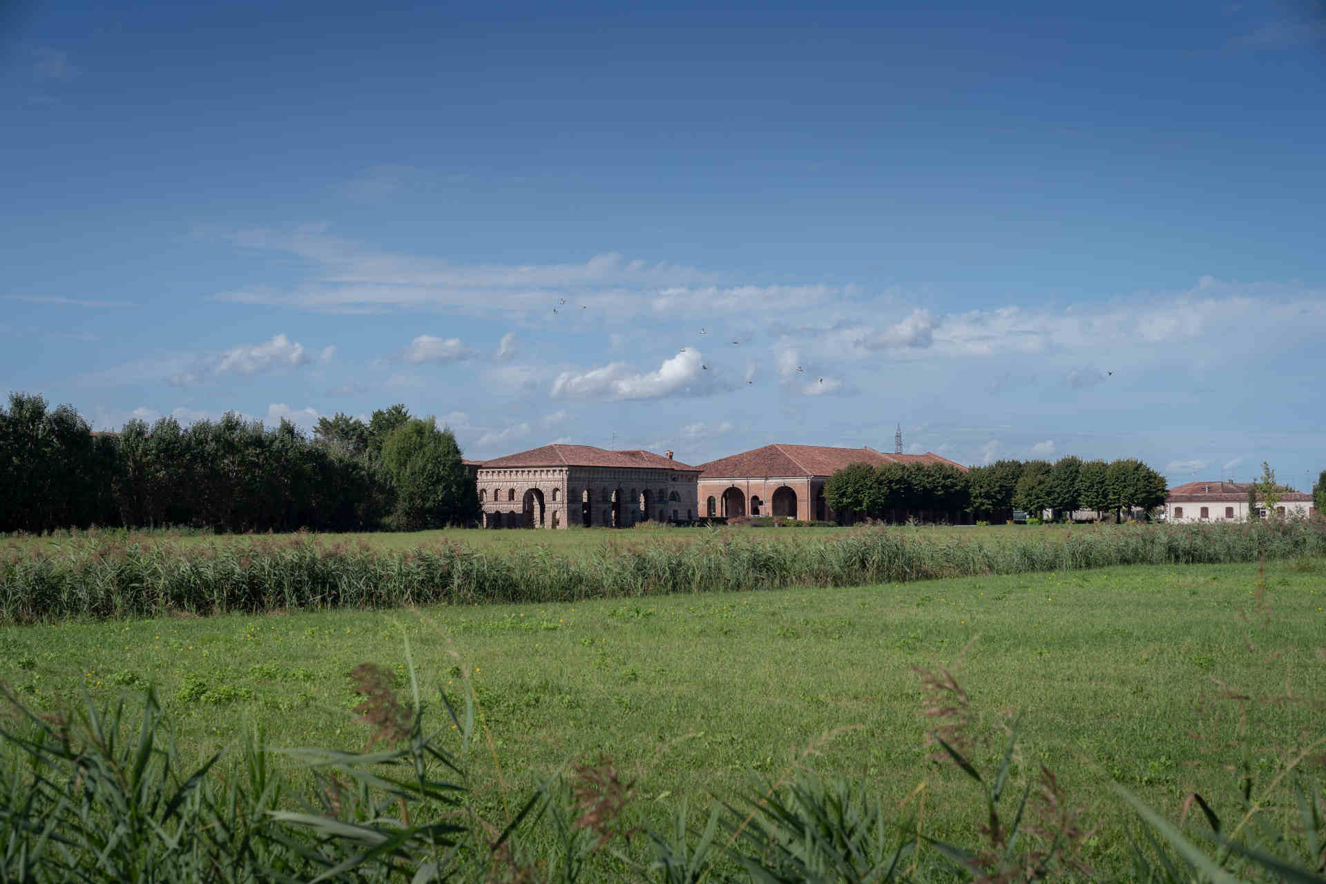 Grana Padano: storia e innovazione