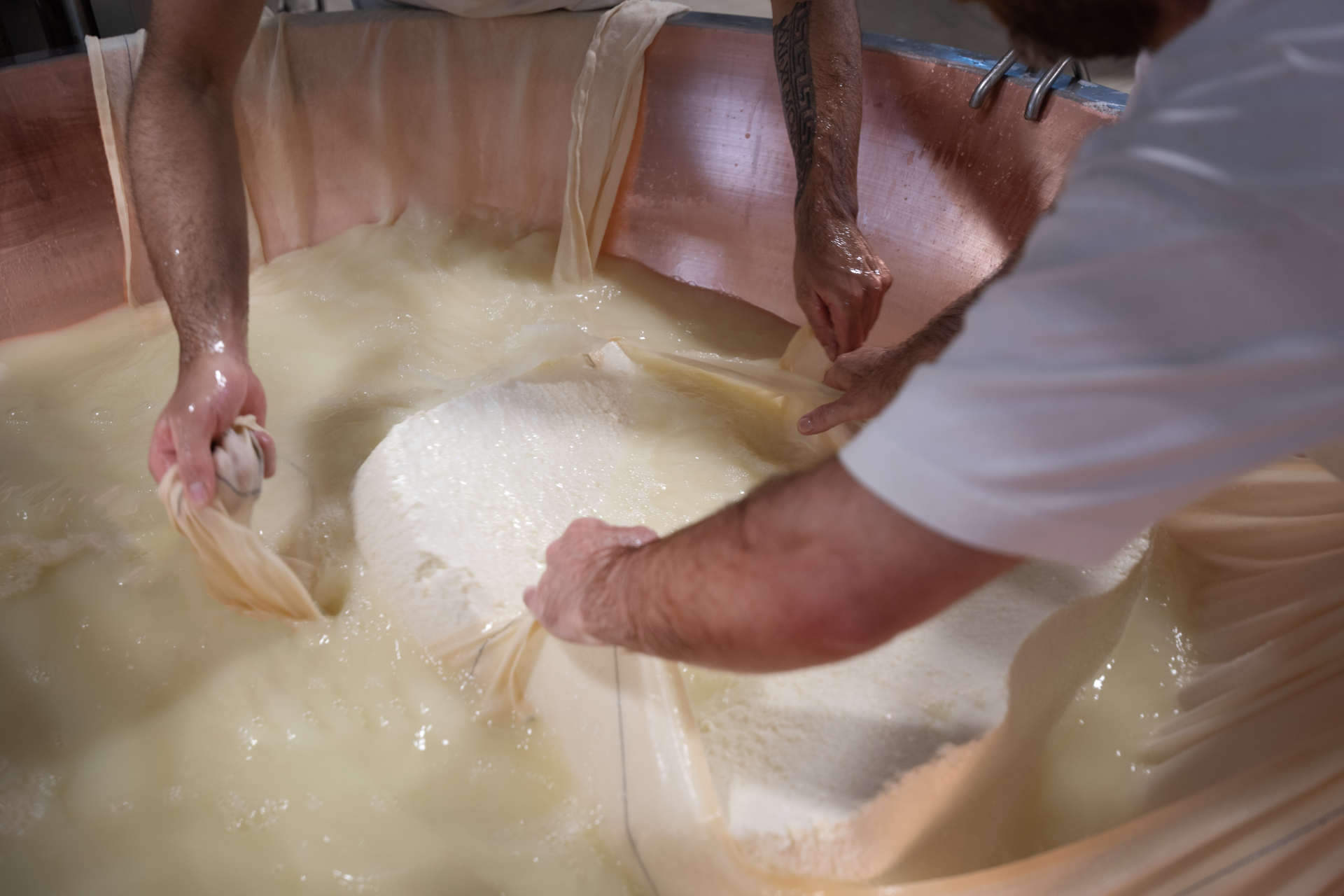 Grana Padano: storia e innovazione