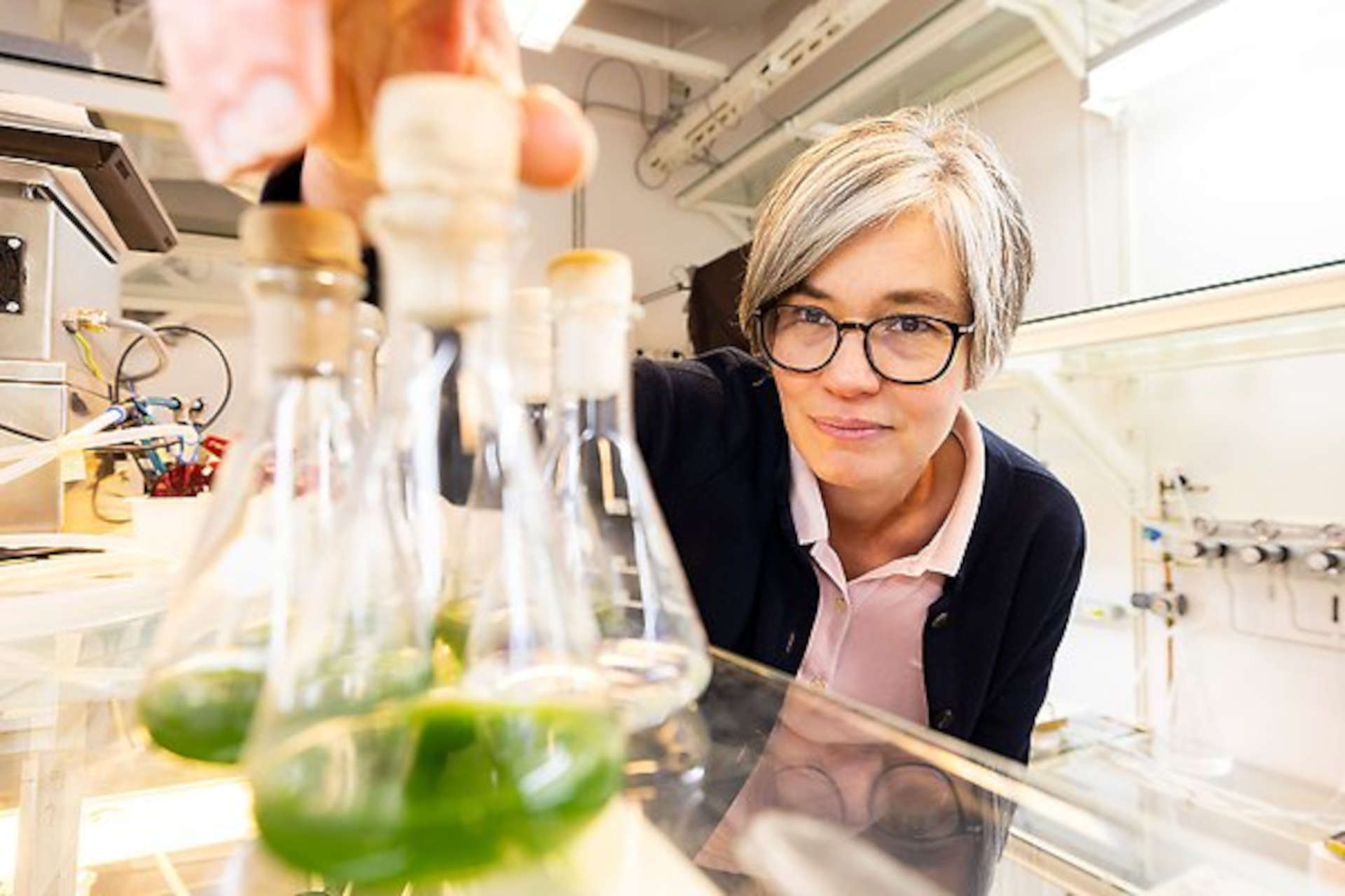 Fotosintesi artificiale o da batteri modificati geneticamente