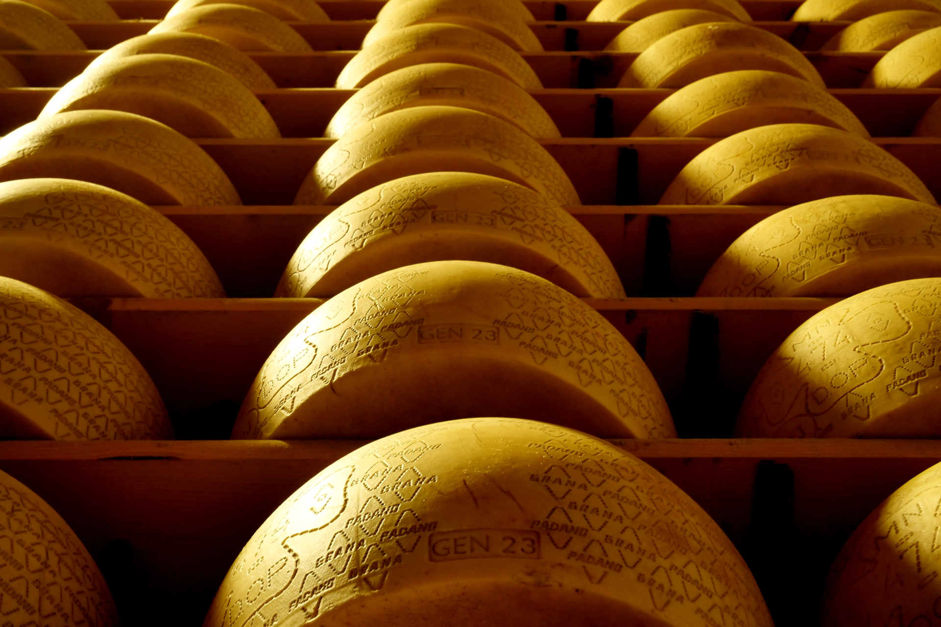 I giovani della filiera nuovi custodi della qualità Grana Padano
