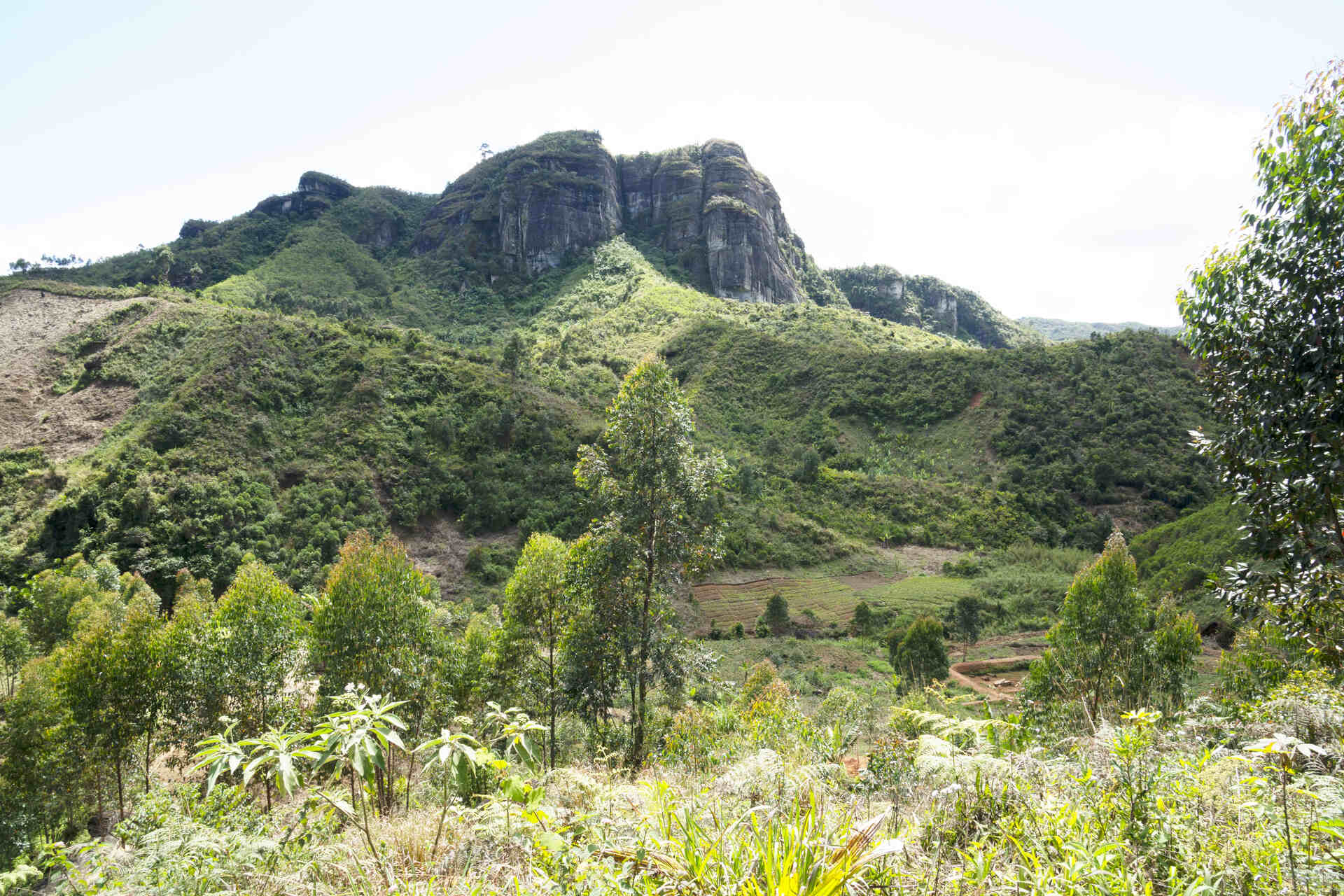 La biodiversità nel Madagascar? Dai cambiamenti del paesaggio