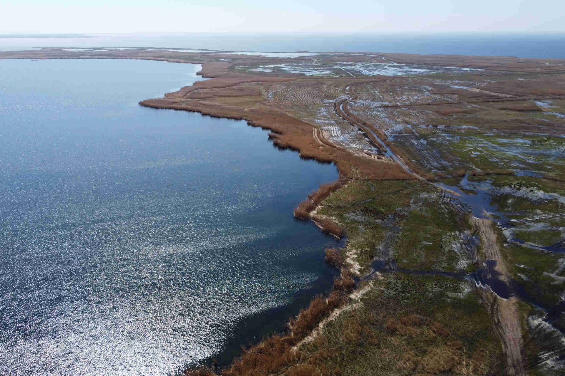 Oder: la foce del fiume tra Polonia e Germania è ancora in pericolo