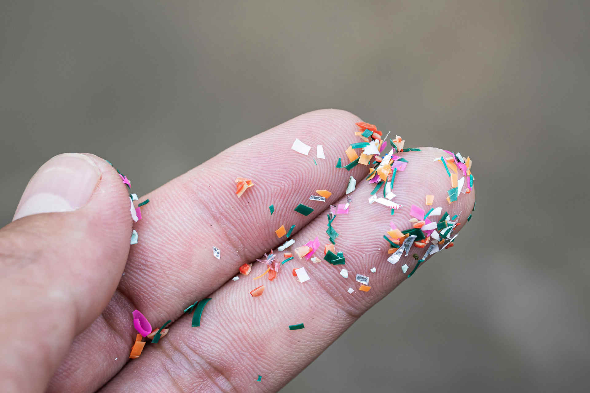 Microplastiche dai tessuti: lo studio che cambia tutto quello che sappiamo