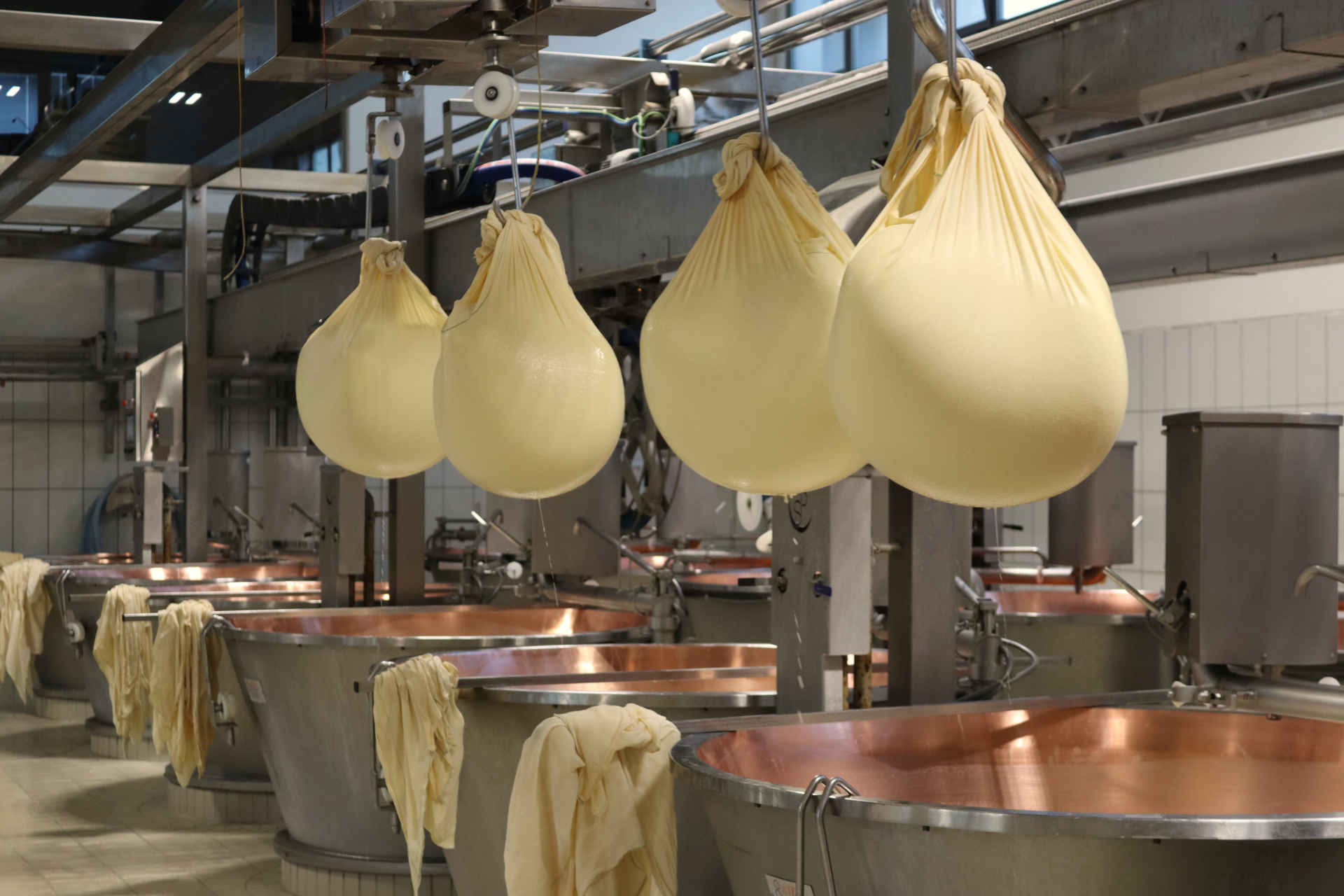 Grana Padano, un viaggio tra le eccellenze italiane