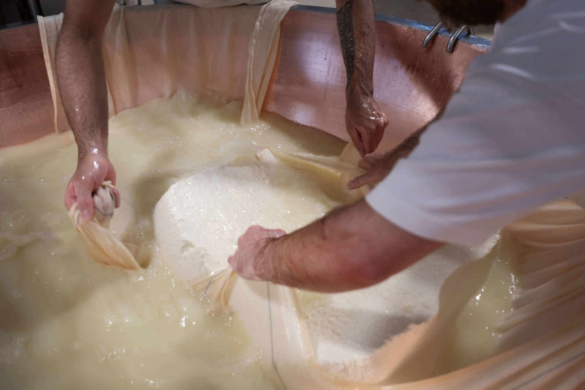 Grana Padano, il cibo come strumento di cultura