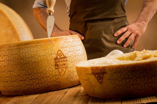 In che modo l’ambiente determina le peculiarità del formaggio