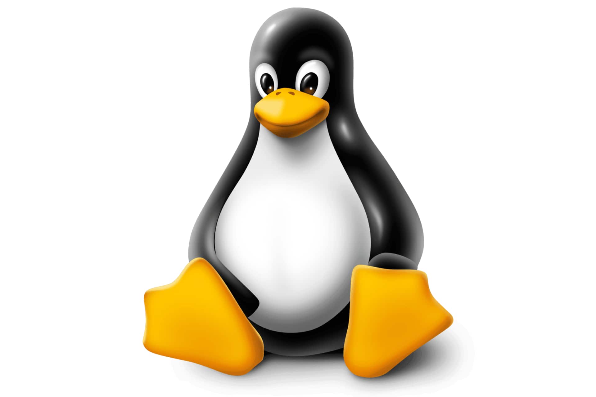 Il logo di Linux