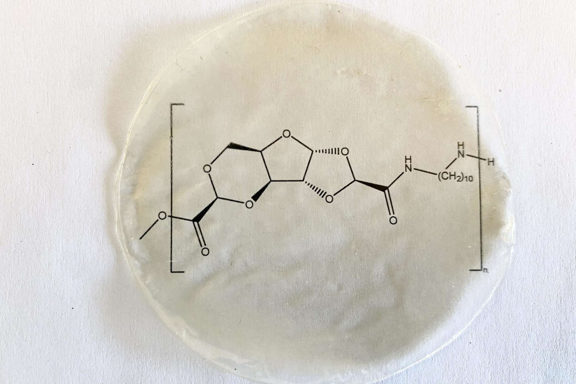 Un'alternativa concreta alle plastiche fossili