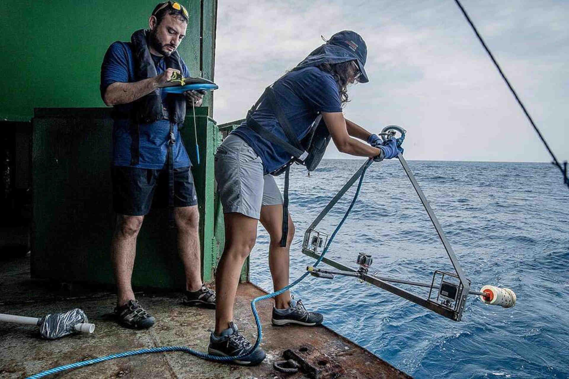 Urgente la ratifica del Trattato sugli Oceani: la missione di Greenpeace
