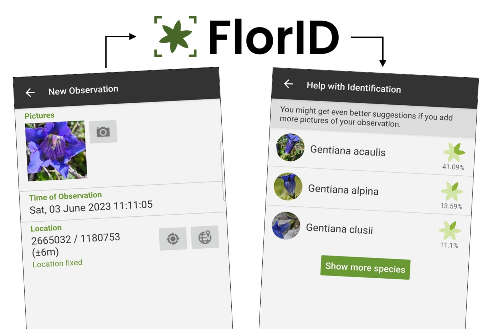 Adesso c’è un’App svizzera per fare vera ricerca su piante e fiori