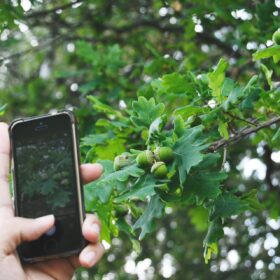 Il nesso fra telefoni cellulari e sviluppo sostenibile su scala globale