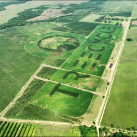 Cresce in Paraguay il… logotipo naturale più grande del mondo