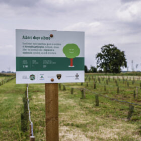 Duemilacinquecento alberi made-by-Lamborghini per la comunità