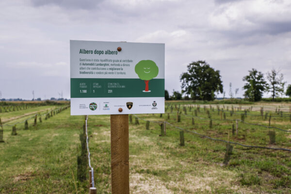 Duemilacinquecento alberi made-by-Lamborghini per la comunità