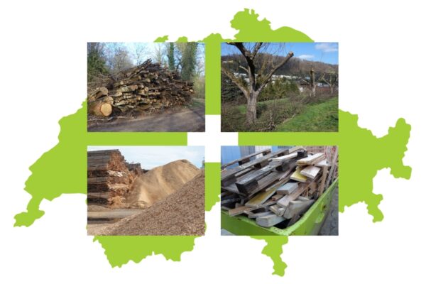 È il legno l’innovazione “jolly” per la transizione energetica svizzera