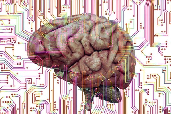 Verso un neurone artificiale quantistico grazie ai fotoni