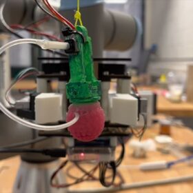 Un lampone di… silicone per istruire i robot alla raccolta