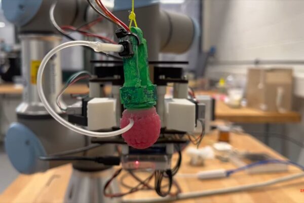 Un lampone di… silicone per istruire i robot alla raccolta