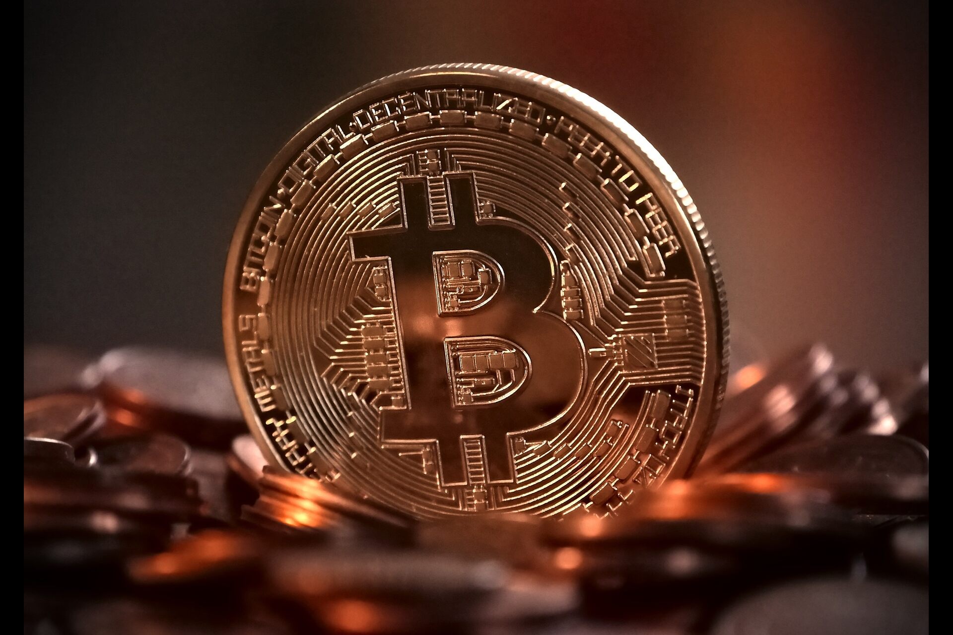 Giovani e crypto: interagire con esperti
