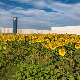 La lezione dell’agriBosco Barilla: anticipare un pianeta più equo