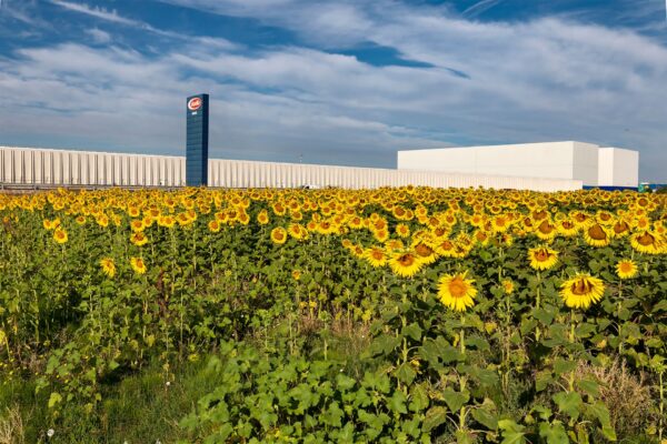 La lezione dell’agriBosco Barilla: anticipare un pianeta più equo