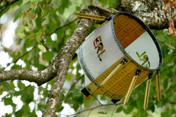 C’è un drone che si “arrampica” sugli alberi per proteggerli