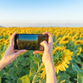 Una “società del girasole” per contrastare il riscaldamento globale