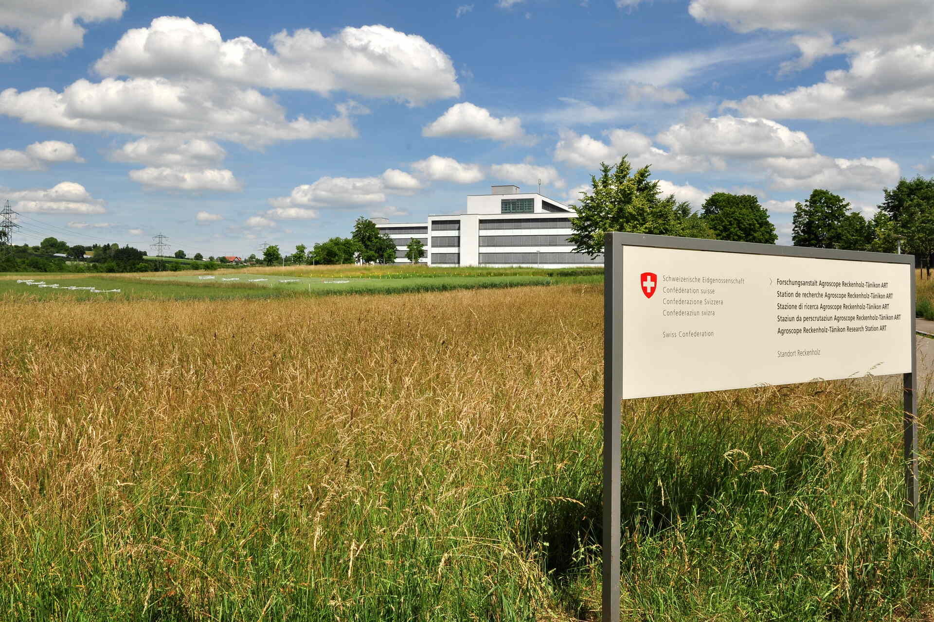 In Svizzera sì all'emissione di orzo geneticamente modificato