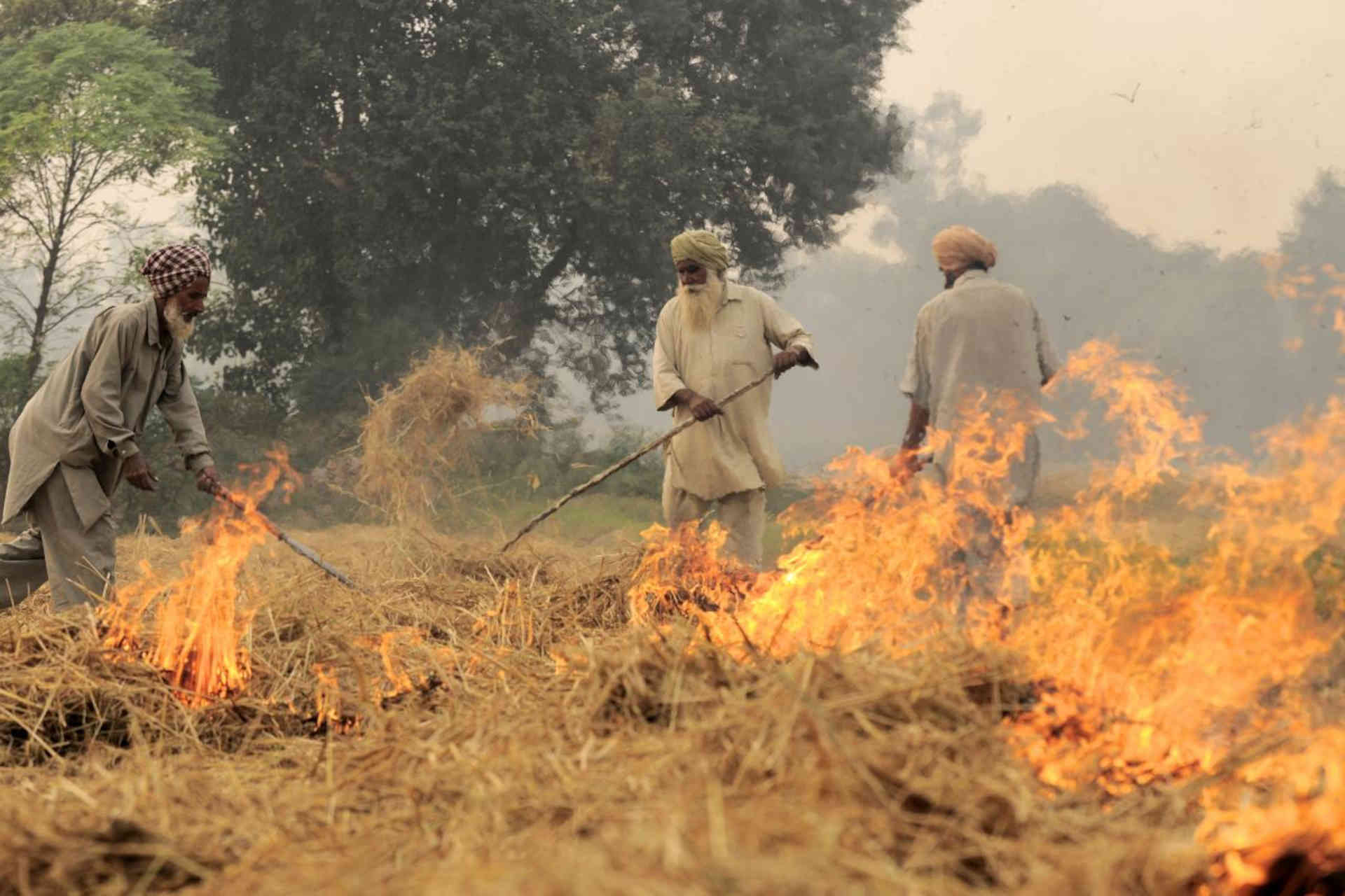 India, un progetto per migliorare la qualità dell'aria