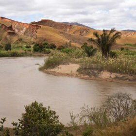 La biodiversità nel Madagascar? Dai cambiamenti del paesaggio
