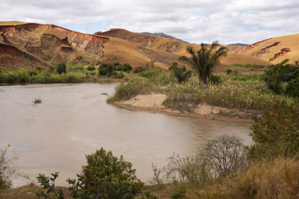 Biodiversitet på Madagaskar? Fra landskabsændringer
