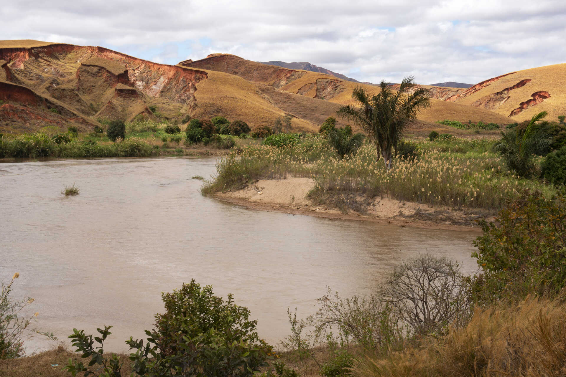 La biodiversità nel Madagascar? Dai cambiamenti del paesaggio