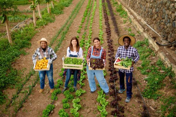 La diversità genetica delle piante è al servizio dell’alimentazione