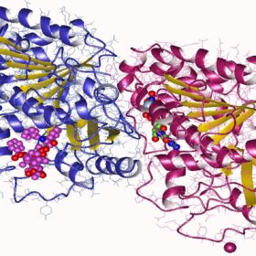 Si chiama Parabulina il nuovo “castigamatti” dei parassiti