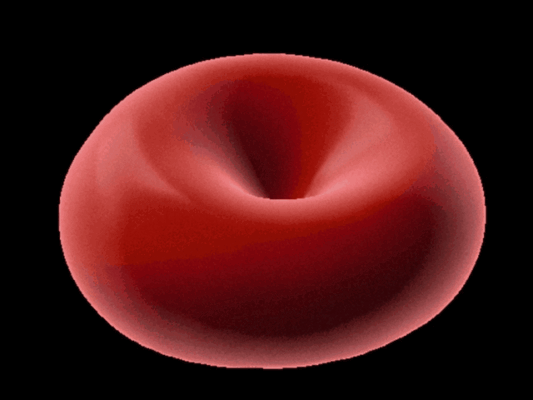 L’alterazione dei globuli rossi vista dalla microscopia olotomografica