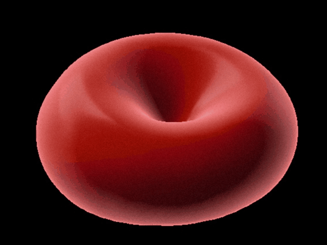 L'alterazione dei globuli rossi vista dalla microscopia olotomografica