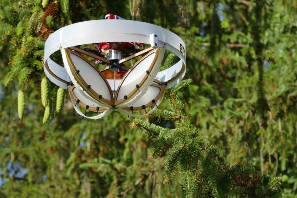 C’è un eDrone innovativo che raccoglie DNA ambientale sugli alberi