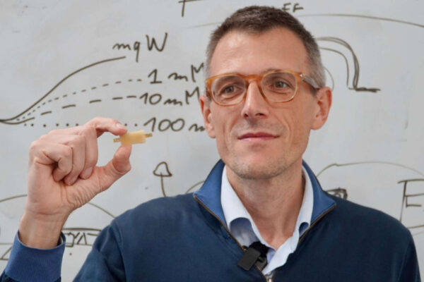 La prima batteria ricaricabile e… commestibile al mondo