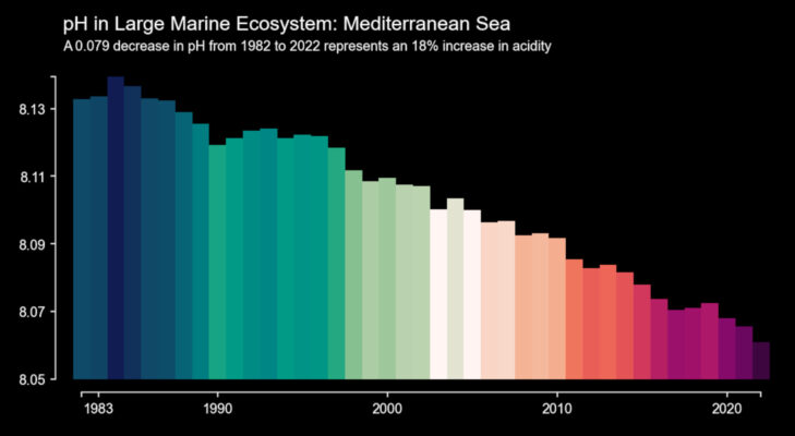 Strisce colorate per visualizzare l’acidificazione degli oceani