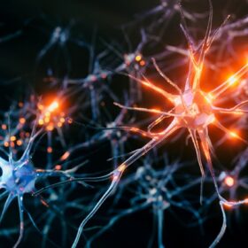 Quei nuovi memristori per computer ispirati alle… cellule cerebrali