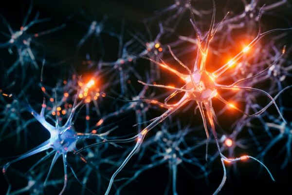 Quei nuovi memristori per computer ispirati alle… cellule cerebrali
