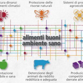 Più ricerca sistemica e pratiche innovative per Agroscope