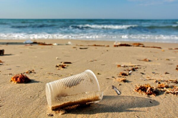 Source to Sea: il progetto contro l’inquinamento da plastica in mare