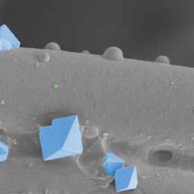 La morte dei virus attraverso le mascherine in una ricerca svizzera