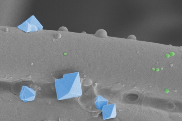 La morte dei virus attraverso le mascherine in una ricerca svizzera
